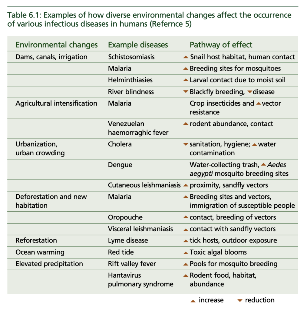 Environmental changes and their impact on infectious diseases